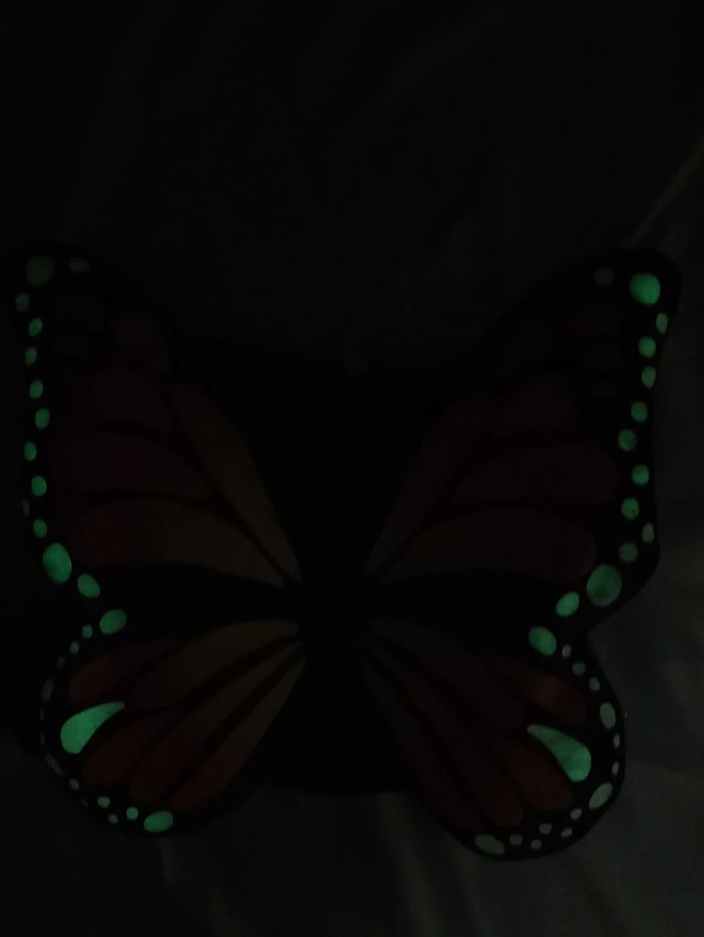 Doggie Butterfly Costume, Glows In The Dark, Size M